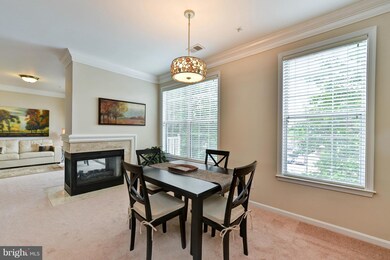 1724 Osage St unit 301, Alexandria, VA 22302 - photo 6