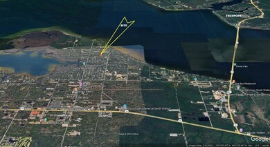 C21 KPatel Nikki Circle Google Earth2