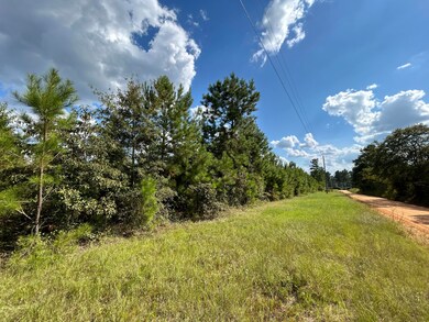 0 Goett Rd, Dearing, GA 30808 - photo 2