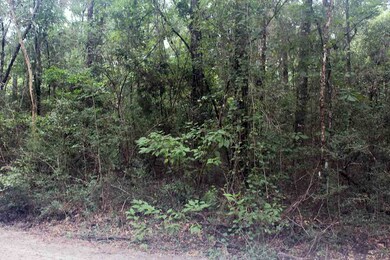 0 Arikara Dr unit 3 287846, Crawfordville, FL 32327 - photo 4