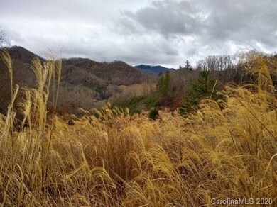 1405 Hortons Creek Rd, Burnsville, NC 28714 - photo 2