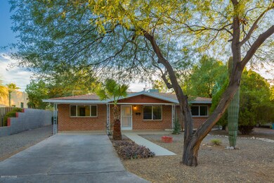 Big tree and Saguaro!