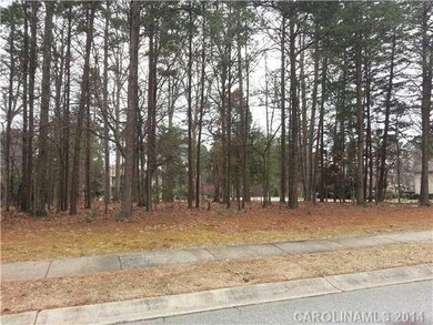 Lot 670 Town Harbour Rd unit 670, Cornelius, NC 28031 - photo 3