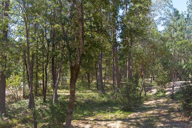 3922 New Hope Rd, Grants Pass, OR 97527 - photo 2
