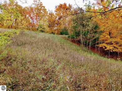 00 Walling Rd unit C, Helena Township, MI 49612 - photo 5