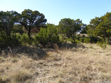 27010 Shady Run, Fair Oaks, TX 78006 - photo 4