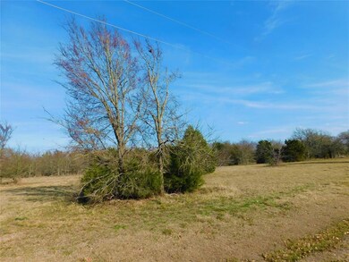 L 146 La Bota, Corsicana, TX 75109 - photo 6