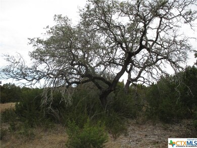 000 County Road 4818, Kempner, TX 76539 - photo 6