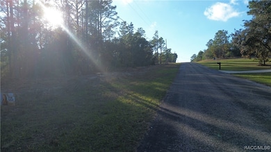 3882 W Fireside Ln, Citrus Springs, FL 34433 - photo 3