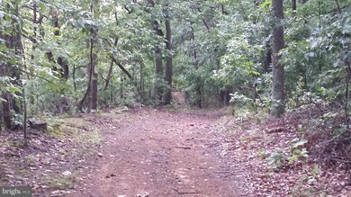 2900 Rock Face Rd, Levels, WV 25431 - photo 7