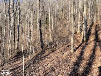 00 Early Deitz Rd, Sylva, NC 28779 - photo 5