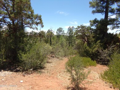 4750 S Manzanita Way, Show Low, AZ 85901 - photo 2