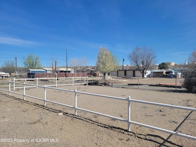732 S Turner St, Bloomfield, NM 87413 - photo 5