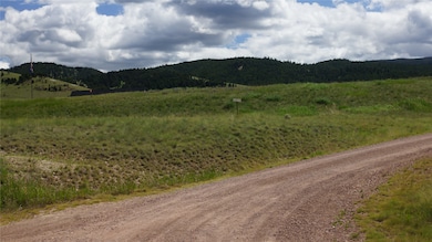 Tract 2 Whiskey Flats, Philipsburg, MT 59858 - photo 3