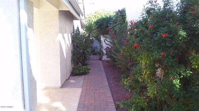 Backyard walking path