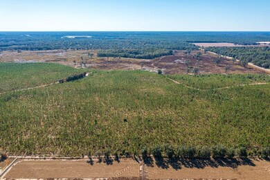 0 SW 282nd St, Newberry, FL 32669 - photo 6