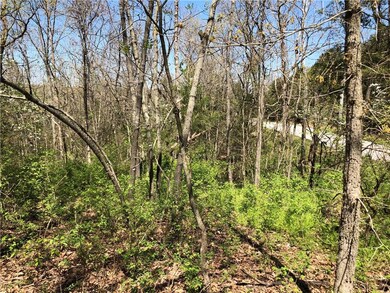 0 Burghead Dr unit 1144405, Bella Vista, AR 72715 - photo 7