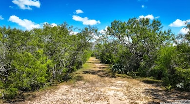 000 Cr 342, Beeville, TX 78102 - photo 3