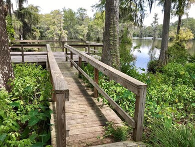 267 Mill Branch Rd, Warwick, GA 31796 - photo 4