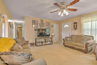 4980 Old Stage Rd, Chuckey, TN 37641 - photo 4