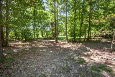 620 Echo Cove, Brandon, MS 39042 - photo 3