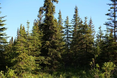 Stone River Lot 8