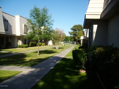 Grassy Area