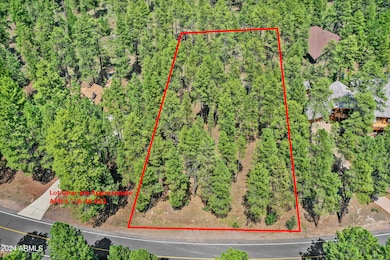 3781 Griffiths Spring unit 451, Flagstaff, AZ 86015 - photo 3