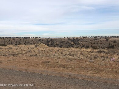 NYA Road 3775, Farmington, NM 87401 - photo 5