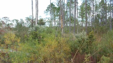 0 Peaceful Ln unit 313172, Crawfordville, FL 32327 - photo 2