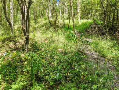 6022 Low Country Rd, Lenoir, NC 28645 - photo 6