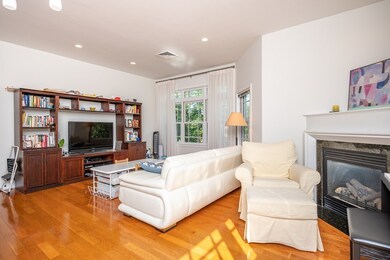 195 High St unit 301, Brookline, MA 02445 - photo 4