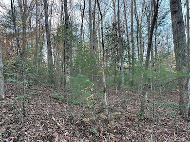 Lot 12 Tombstone Dr, Blairsville, GA 30512 - photo 2