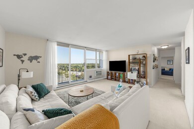 Lombard Tower unit 11A, Lombard, IL 60148 - photo 4