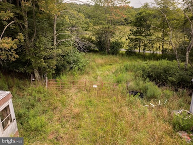 1055 Old Wilson Rd, Swanton, MD 21561 - photo 4