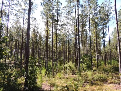 Tr 5 unit 19.018 ac Pike Roa, Franklin, GA 30217 - photo 3