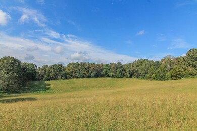 Lot 4 Lovelace Rd, Knoxville, TN 37932 - photo 4