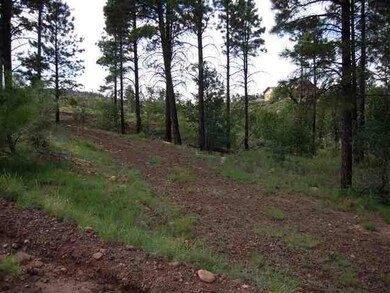 6214 Juniper Ridge, Show Low, AZ 85901 - photo 5