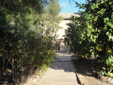 Walkway from Terripin up to house