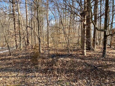 LOT 254 N Lakeshore Dr, Louisa, VA 23093 - photo 4