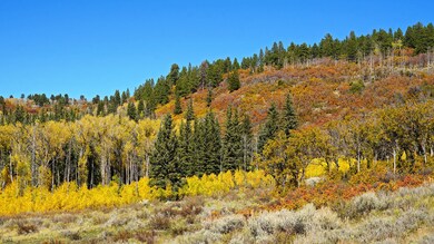 1250 McKenzie Springs Rd, Placerville, CO 81430 - photo 6