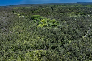 12-4235 Upper Puna Rd, Pahoa, HI 96778 - photo 5