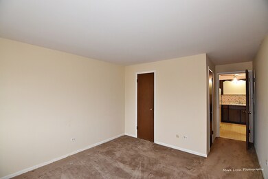 1220 S Lorraine Rd unit 3F, Wheaton, IL 60189 - photo 5