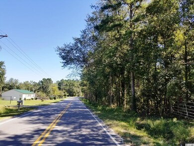 TBD1 State Highway 548, Conway, SC 29527 - photo 5
