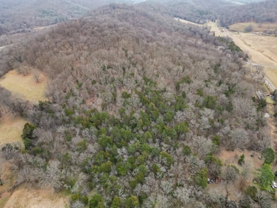 4511 Harpeth School Rd, Franklin, TN 37064 - photo 7