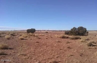 123_1 (10)