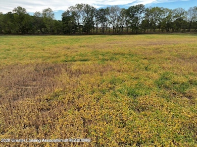 20241001005533346686000000-o