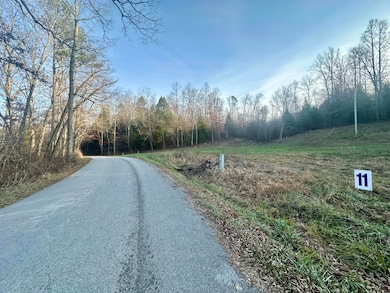 Lot 11 Hensley Rd, East Bernstadt, KY 40729 - photo 2