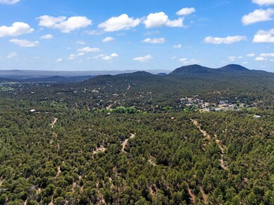 LOTS B-E, 1-5 Lone Pine Ridge, Santa Fe, NM 87505 - photo 7