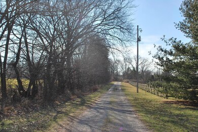 6726 Hitler Road 2, Circleville, OH 43113 - photo 5